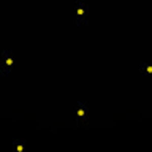 Meet your Posher, Kendall